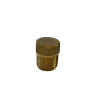 Brass Plug 1/4