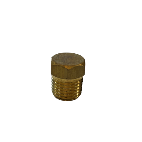 Brass Plug 1/4